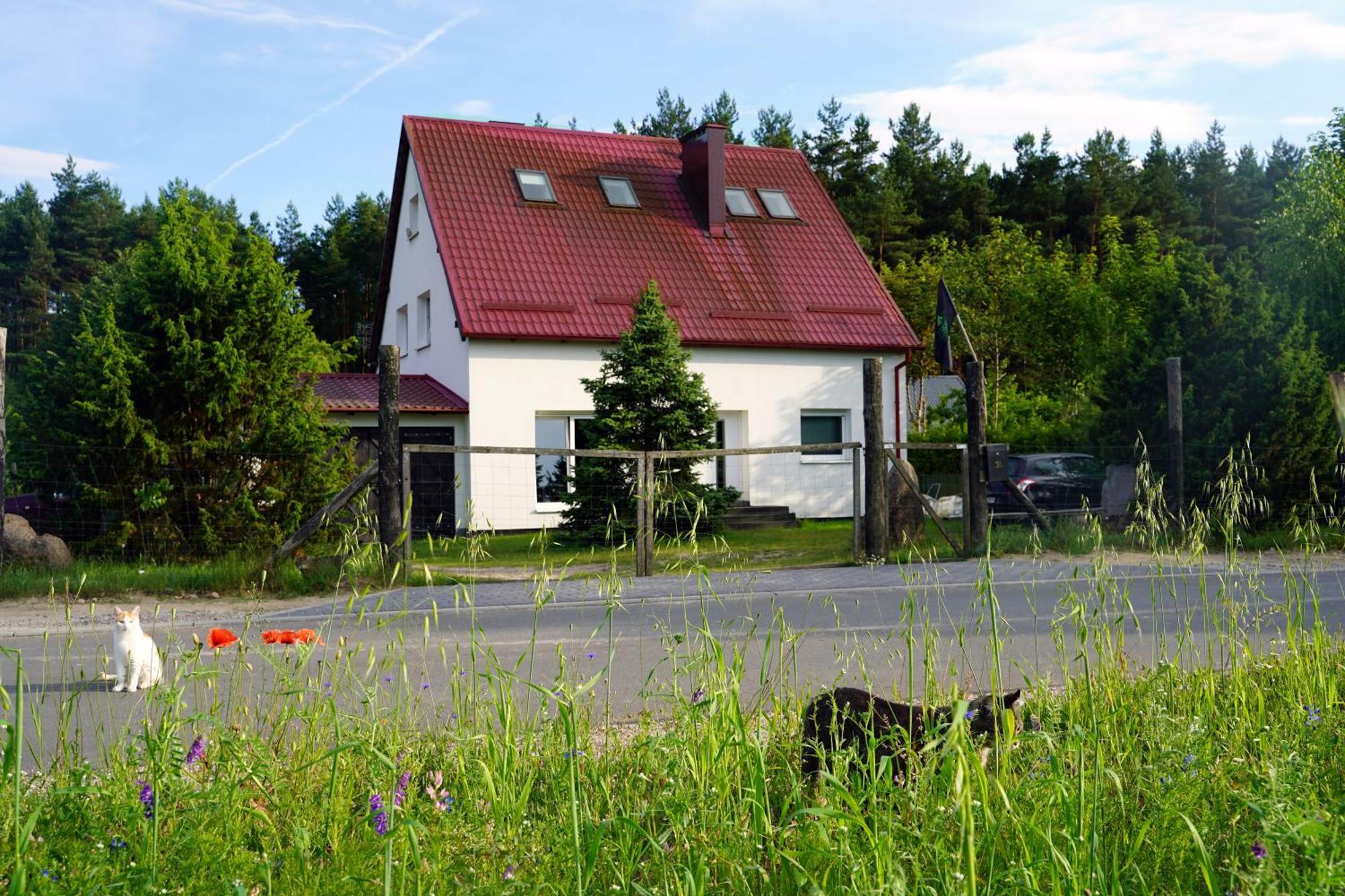 Lesna Kryjowka Apartment Trzebciny Exterior foto